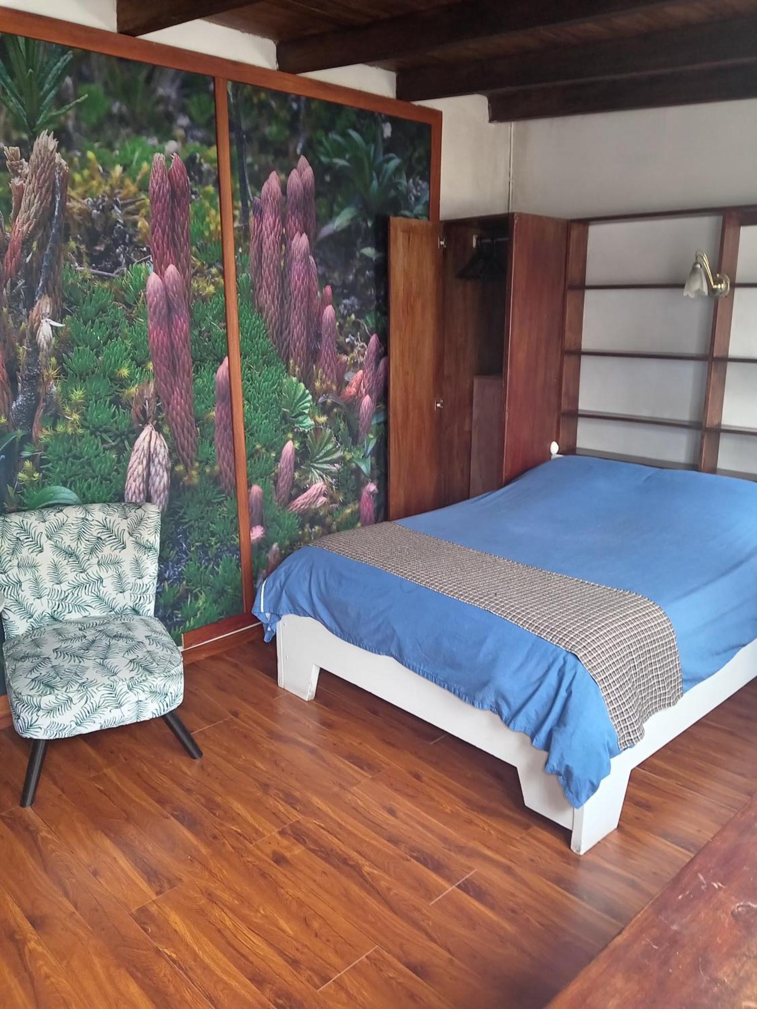 Hostal Posada Del Maple Quito Exterior photo