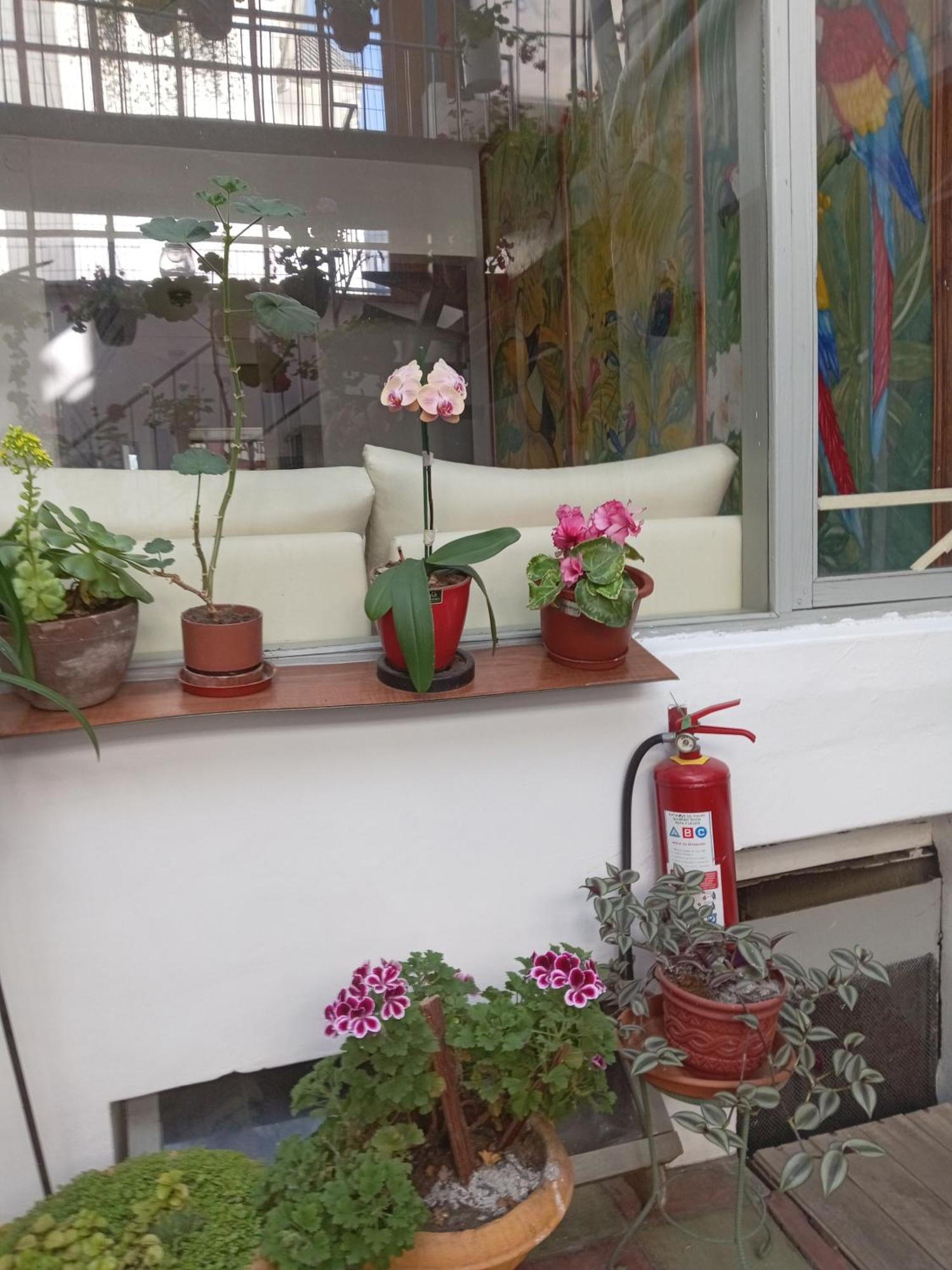 Hostal Posada Del Maple Quito Exterior photo