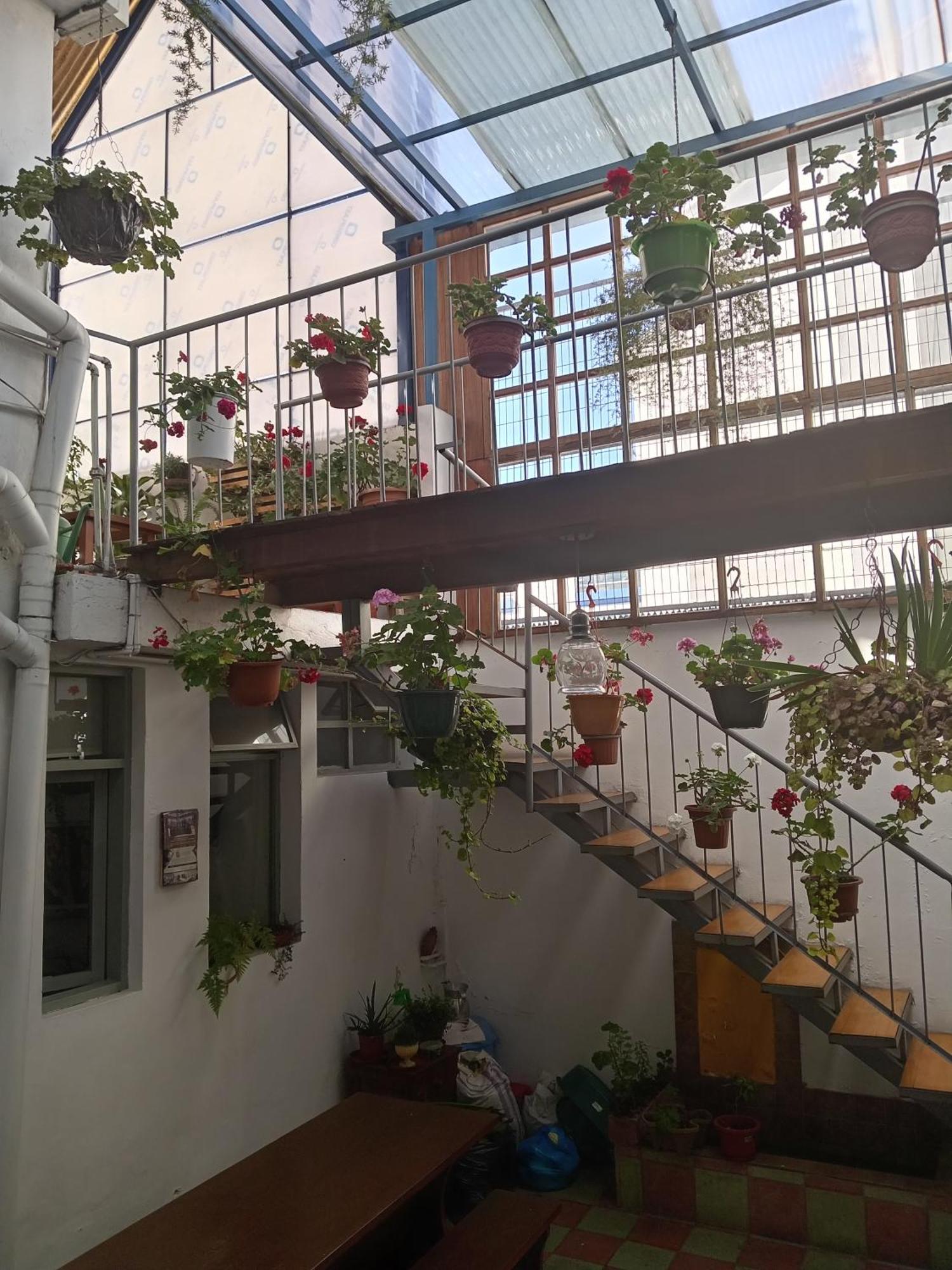 Hostal Posada Del Maple Quito Exterior photo