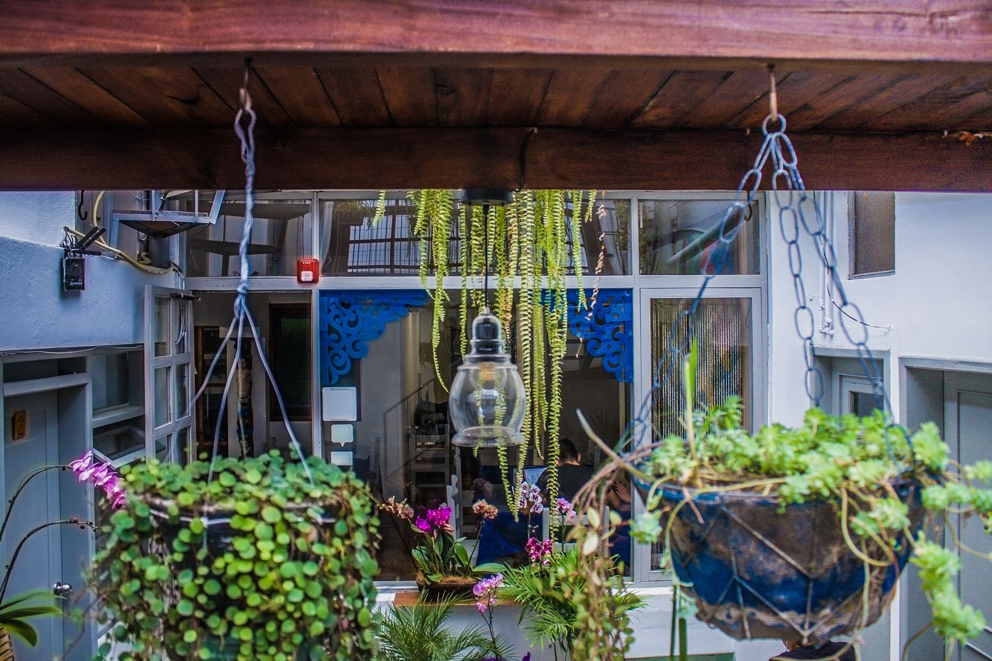 Hostal Posada Del Maple Quito Exterior photo