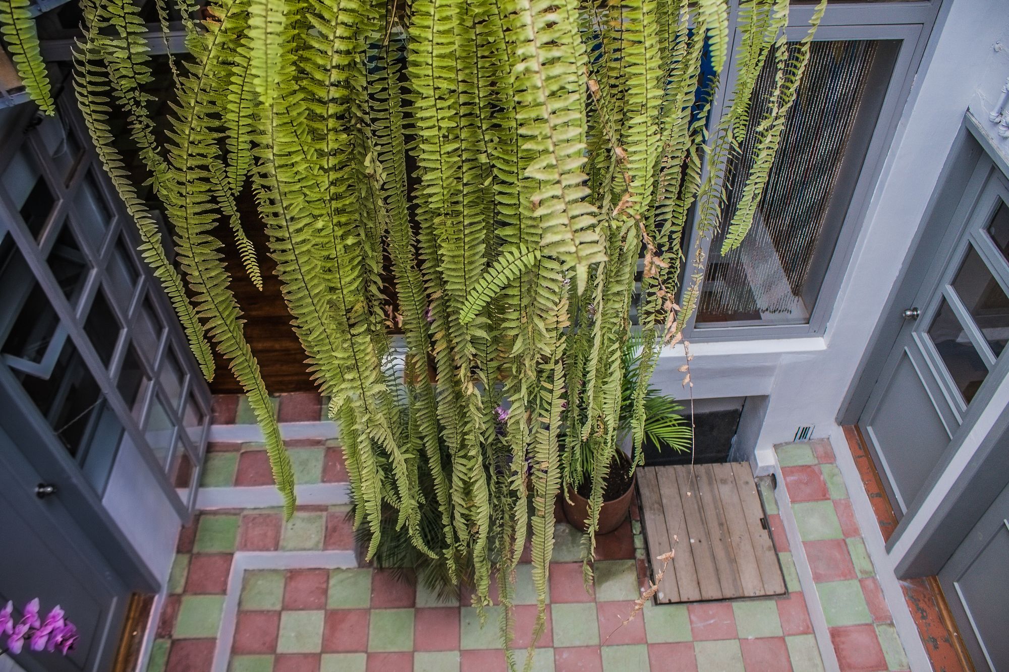 Hostal Posada Del Maple Quito Exterior photo